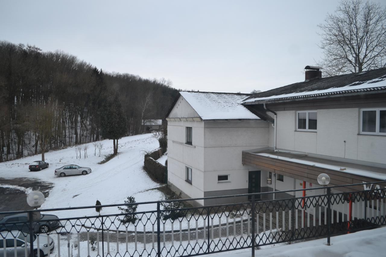 Pension Waldesruh Linz Zewnętrze zdjęcie